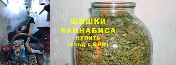 стаф Тобольск