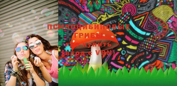 гашик Тихорецк
