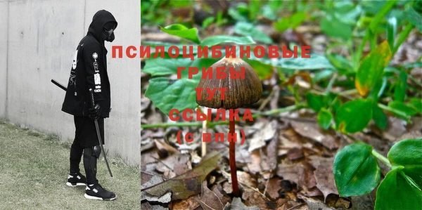 стаф Тобольск