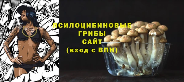 гашик Нефтегорск