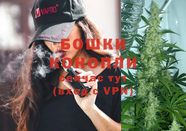 стаф Тобольск