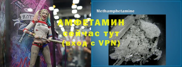 стаф Тобольск
